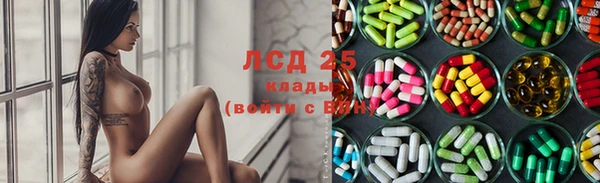 ПСИЛОЦИБИНОВЫЕ ГРИБЫ Верхнеуральск