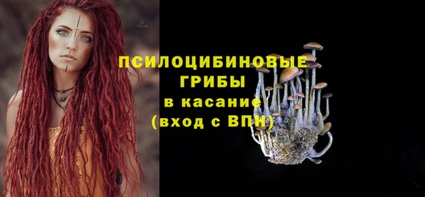 ПСИЛОЦИБИНОВЫЕ ГРИБЫ Верхнеуральск