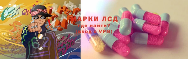 ПСИЛОЦИБИНОВЫЕ ГРИБЫ Верхнеуральск