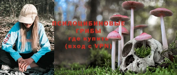 не бодяженный Верея