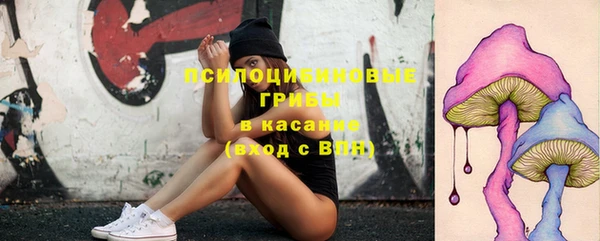 не бодяженный Бородино