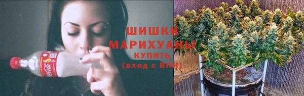 ГАЛЛЮЦИНОГЕННЫЕ ГРИБЫ Бронницы